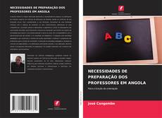 NECESSIDADES DE PREPARAÇÃO DOS PROFESSORES EM ANGOLA kitap kapağı