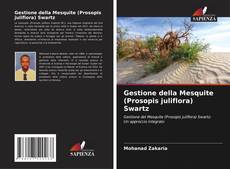 Borítókép a  Gestione della Mesquite (Prosopis juliflora) Swartz - hoz