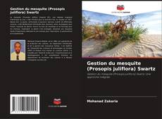 Borítókép a  Gestion du mesquite (Prosopis juliflora) Swartz - hoz