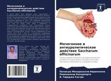 Мочегонное и антиуролитическое действие Saccharum officinarum kitap kapağı