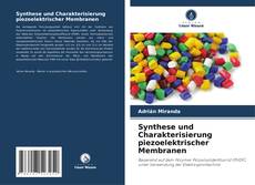 Synthese und Charakterisierung piezoelektrischer Membranen kitap kapağı