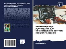 Borítókép a  Пытхон Пример: руководство для начинающих по основам программирования - hoz