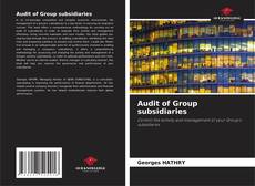 Capa do livro de Audit of Group subsidiaries 