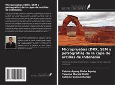 Bookcover of Micropruebas (DRX, SEM y petrografía) de la capa de arcillas de Indonesia