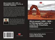 Couverture de Micro-essais (XRD ; SEM ; & Pétrographie) pour la couche de Clayshale, Indonésie