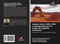 Couverture de Analisi micro (XRD, SEM e petrografia) per lo strato di argillite, Indonesia