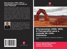Microensaios (XRD; SEM; & Petrografia) para a camada de xisto, Indonésia kitap kapağı