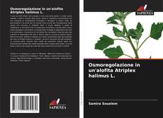 Capa do livro de Osmoregolazione in un'alofita Atriplex halimus L. 