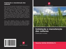 Bookcover of Instalação e manutenção das culturas