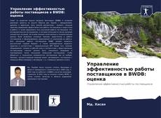 Bookcover of Управление эффективностью работы поставщиков в BWDB: оценка