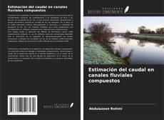 Estimación del caudal en canales fluviales compuestos kitap kapağı