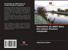 Buchcover von Estimation du débit dans les canaux fluviaux composés