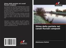 Buchcover von Stima della portata nei canali fluviali composti