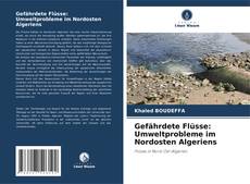 Capa do livro de Gefährdete Flüsse: Umweltprobleme im Nordosten Algeriens 