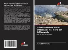 Buchcover von Fiumi a rischio: sfide ambientali nel nord-est dell'Algeria