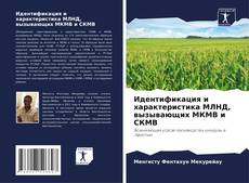 Bookcover of Идентификация и характеристика МЛНД, вызывающих МКМВ и СКМВ