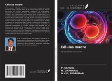 Bookcover of Células madre