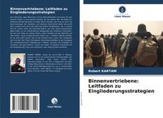 Bookcover of Binnenvertriebene: Leitfaden zu Eingliederungsstrategien