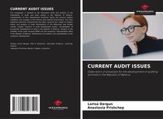 Bookcover of CURRENT AUDIT ISSUES