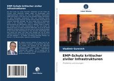 Capa do livro de EMP-Schutz kritischer ziviler Infrastrukturen 