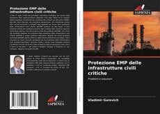 Capa do livro de Protezione EMP delle infrastrutture civili critiche 