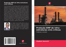 Buchcover von Proteção EMP de infra-estruturas civis críticas