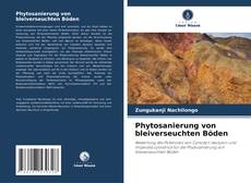 Bookcover of Phytosanierung von bleiverseuchten Böden