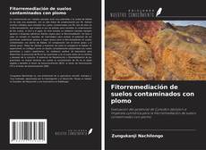 Buchcover von Fitorremediación de suelos contaminados con plomo