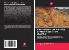 Bookcover of Fitorremediação de solos contaminados com chumbo