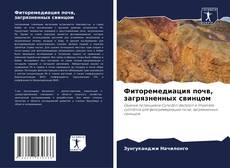 Bookcover of Фиторемедиация почв, загрязненных свинцом