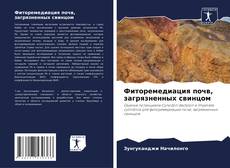 Фиторемедиация почв, загрязненных свинцом kitap kapağı