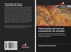 Fitorimedio dei terreni contaminati da piombo kitap kapağı