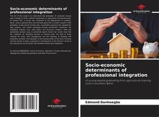 Socio-economic determinants of professional integration kitap kapağı