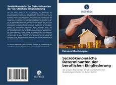 Capa do livro de Sozioökonomische Determinanten der beruflichen Eingliederung 