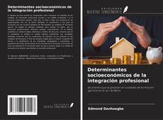 Buchcover von Determinantes socioeconómicos de la integración profesional