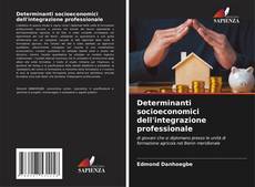 Buchcover von Determinanti socioeconomici dell'integrazione professionale