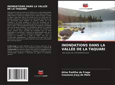 INONDATIONS DANS LA VALLÉE DE LA TAQUARI kitap kapağı