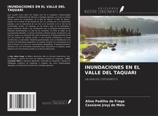 Portada del libro de INUNDACIONES EN EL VALLE DEL TAQUARI