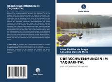 Buchcover von ÜBERSCHWEMMUNGEN IM TAQUARI-TAL