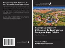 Buchcover von Rejuvenecimiento Y Utilización De Las Fuentes De Aguas Superficiales