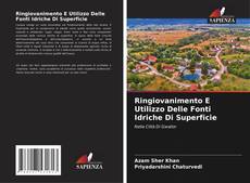 Bookcover of Ringiovanimento E Utilizzo Delle Fonti Idriche Di Superficie