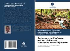 Anthropische Einflüsse auf verbleibende städtische Waldfragmente kitap kapağı