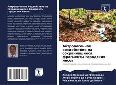 Buchcover von Антропогенное воздействие на сохранившиеся фрагменты городских лесов