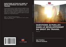 Capa do livro de QUESTIONS ACTUELLES DANS LE DÉVELOPPEMENT DU DROIT DU TRAVAIL 