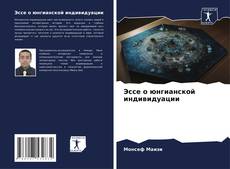 Capa do livro de Эссе о юнгианской индивидуации 