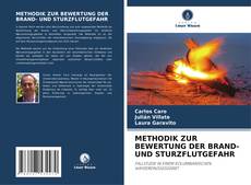 Buchcover von METHODIK ZUR BEWERTUNG DER BRAND- UND STURZFLUTGEFAHR