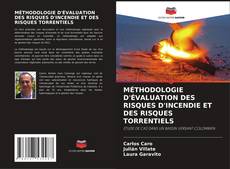 Обложка MÉTHODOLOGIE D'ÉVALUATION DES RISQUES D'INCENDIE ET DES RISQUES TORRENTIELS