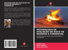 METODOLOGIA DE AVALIAÇÃO DO RISCO DE INCÊNDIO E TORRENCIAL kitap kapağı