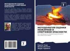 Capa do livro de МЕТОДОЛОГИЯ ОЦЕНКИ ПОЖАРНОЙ И СМЕРЧЕВОЙ ОПАСНОСТИ 