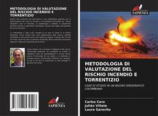 METODOLOGIA DI VALUTAZIONE DEL RISCHIO INCENDIO E TORRENTIZIO的封面